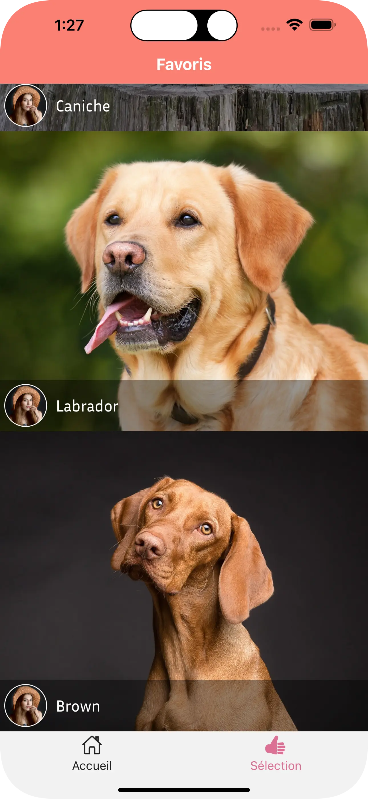 Selection navigation image Pixels app