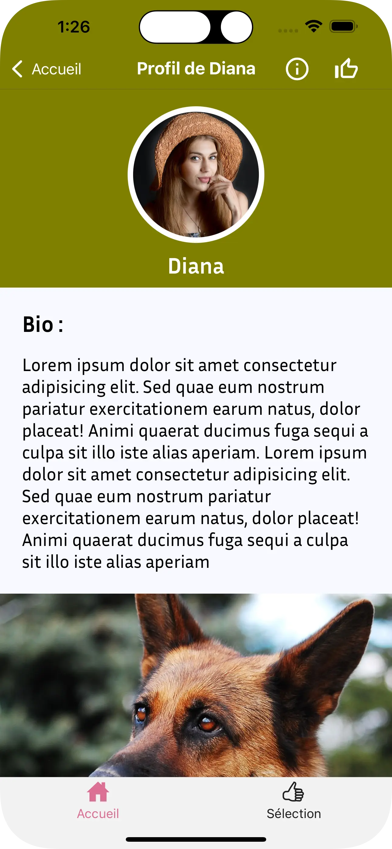 Portfolio image Pixels app